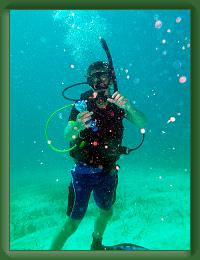 Seabase Scuba 2012 (57) * 3216 x 4288 * (11.13MB)